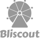 Bliscout Logo