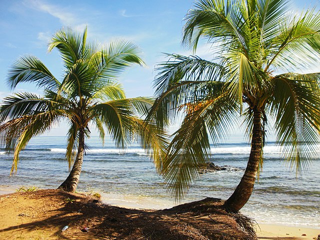 Big Creek Beach by hh oldman licensed under CC BY 3.0